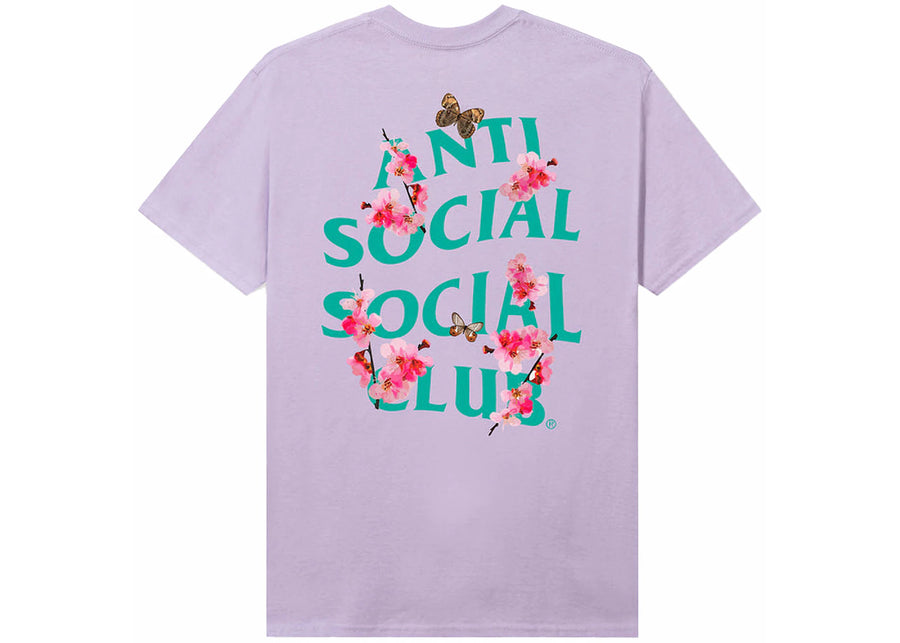 Club social antisocial Kkotch Thé Lavande