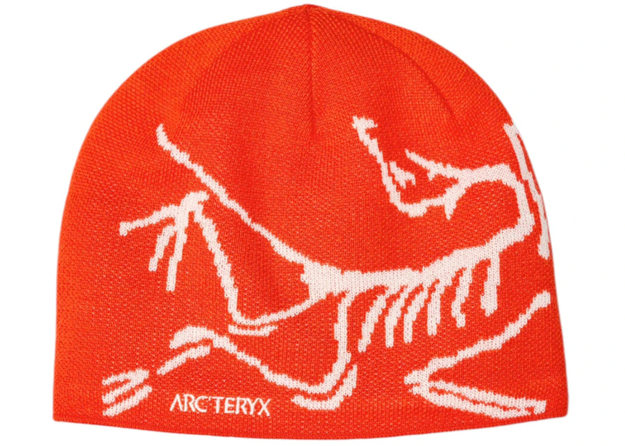 Bonnet Arc'teryx à tête d'oiseau Dynasty/Arc Silk