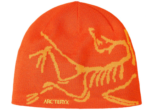 Arc'teryx Bird Head Toque Beanie Solaris/Edziza