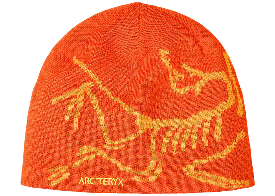 Arc'teryx Bird Head Toque Beanie Solaris/Edziza