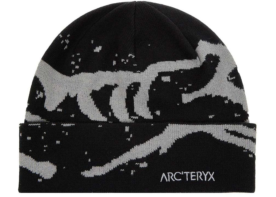 Tuque Arc'teryx Grotto Noir/Vide