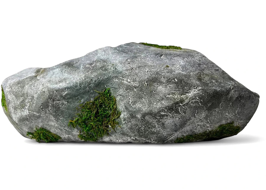 Bravest Studios Rock Shoe Canyon Granite