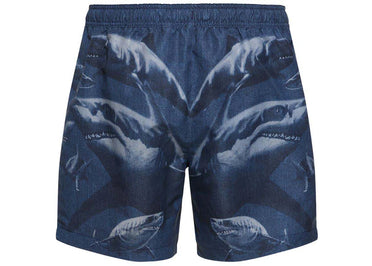 Burberry Martin Block Swim Shorts Blue