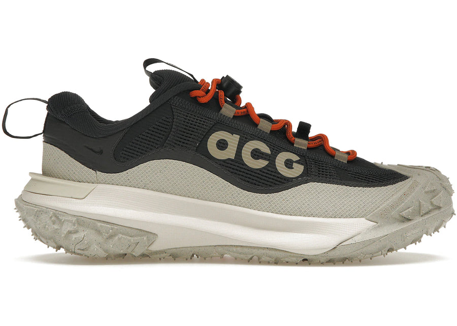 Nike ACG Mountain Fly 2 Low Gore-Tex Gris fumé foncé