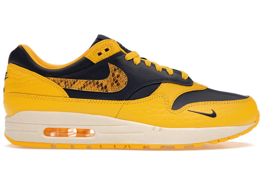 Comparatif Nike Air Max 1 CO.JP Michigan (Femme)