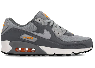 Nike Air Max 90 Cool Grey Sundial
