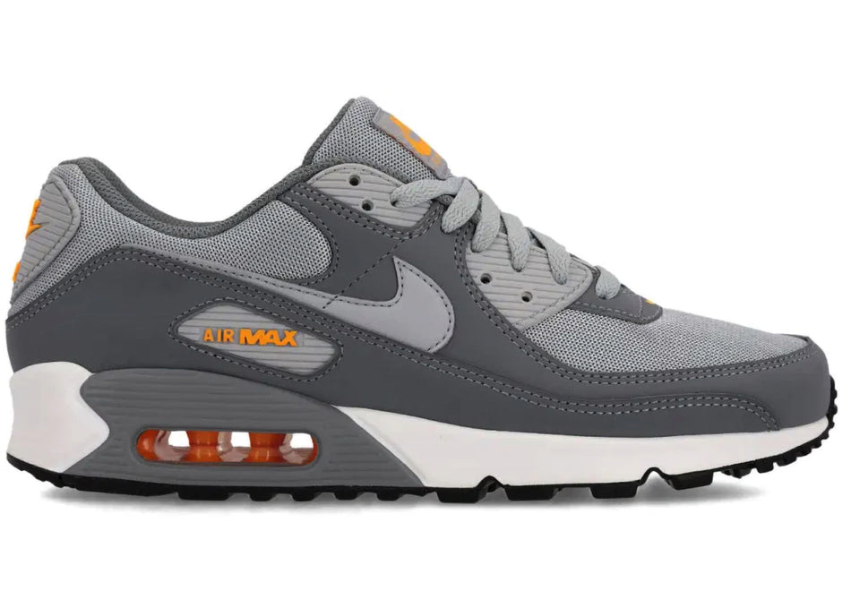 Nike Air Max 90 Cool Grey Sundial