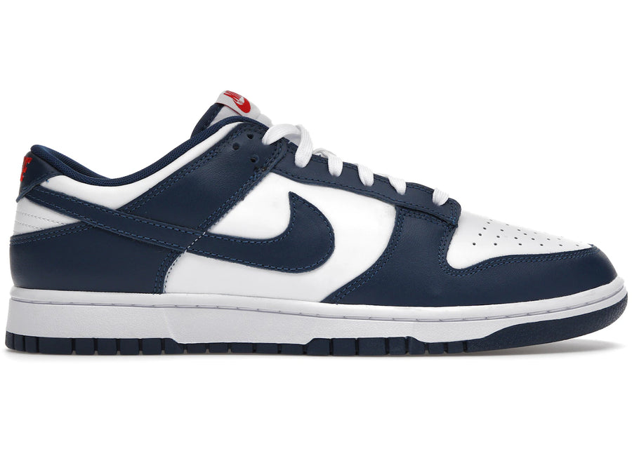 Nike Dunk Low Bleu Valérien
