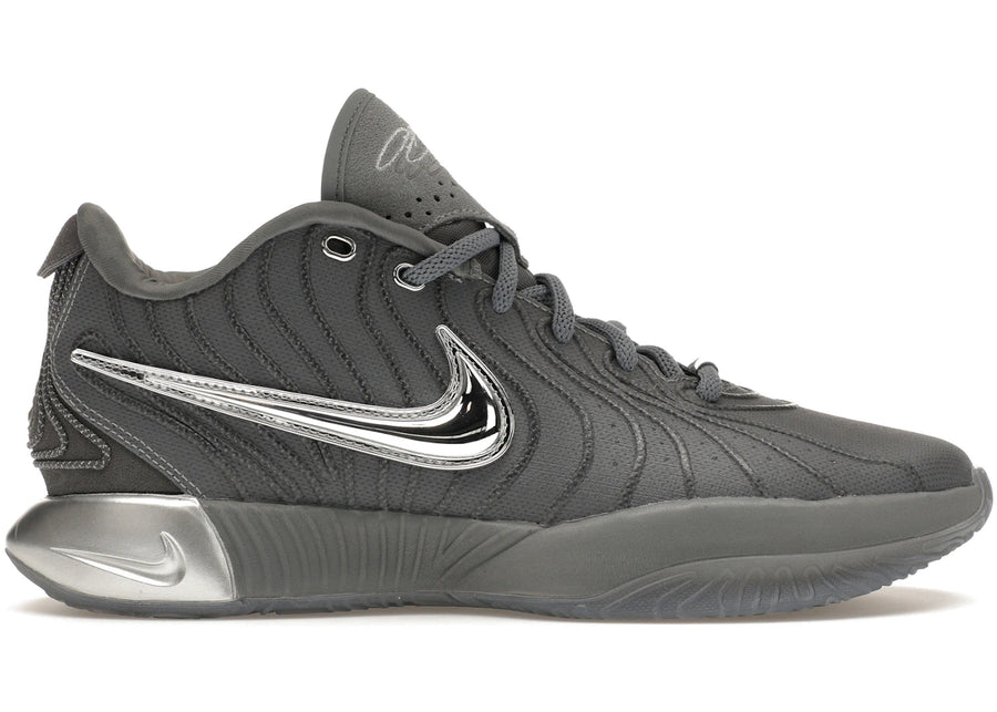 Nike LeBron 21 Gris Froid