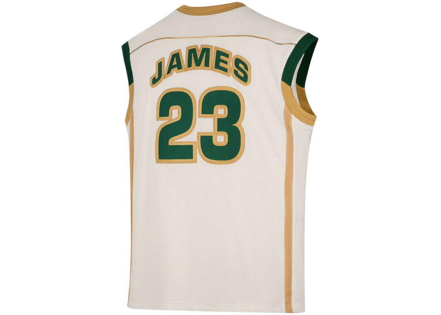 Maillot Nike LeBron James Reserve Multicolore