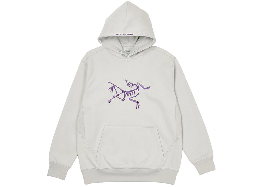 Capuche Arc'teryx Palace Grise