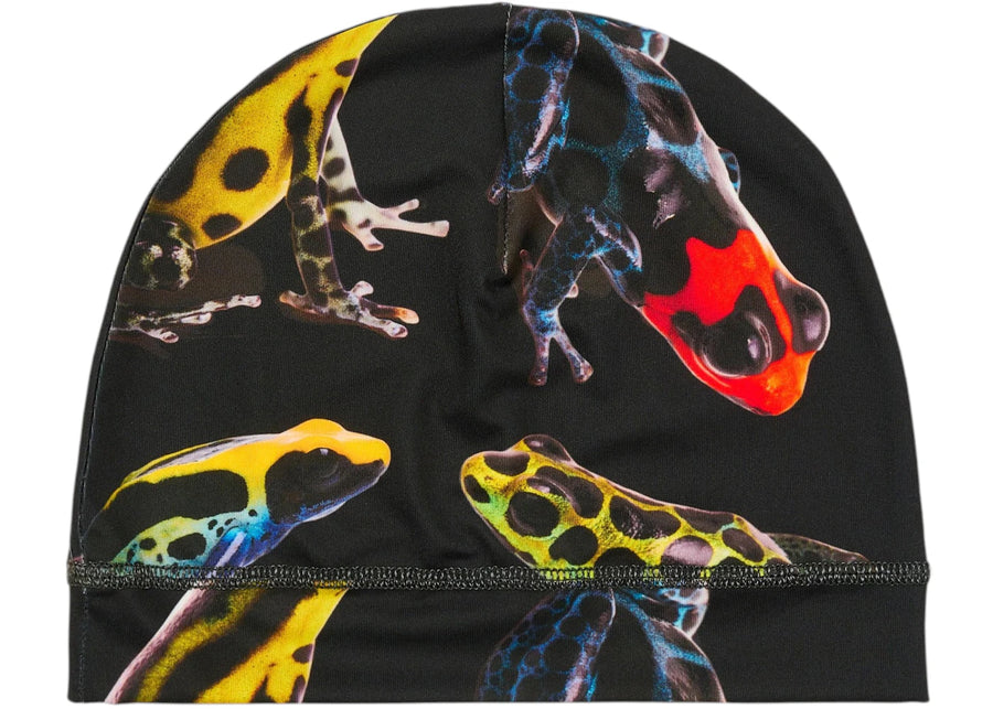 Bonnet technique Palace Dendrobates Grenouille noire