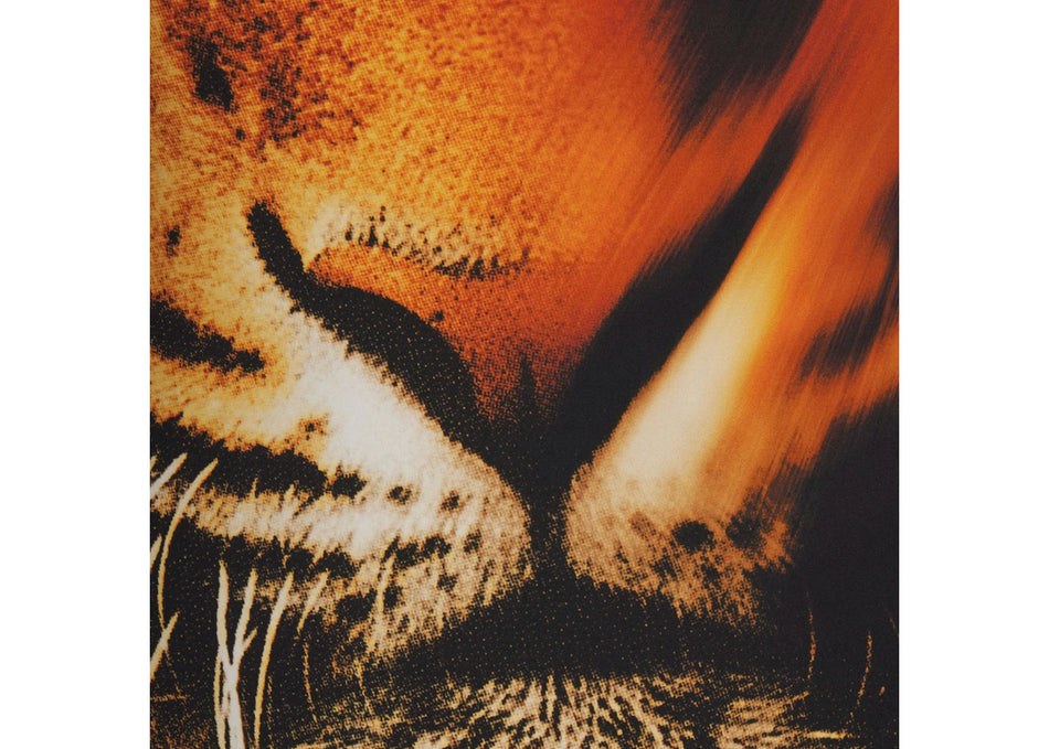 SKIMS x Roberto Cavalli Tie Waist One Piece Tiger Face Print