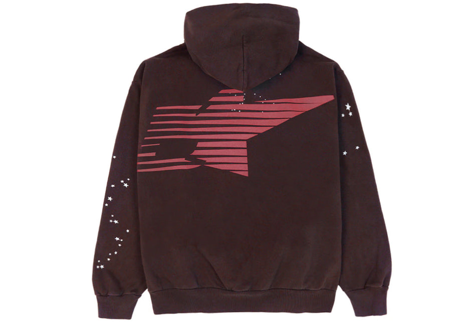 Sweat à capuche Sp5der Araignee marron