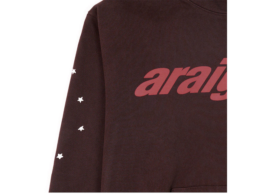 Sweat à capuche Sp5der Araignee marron