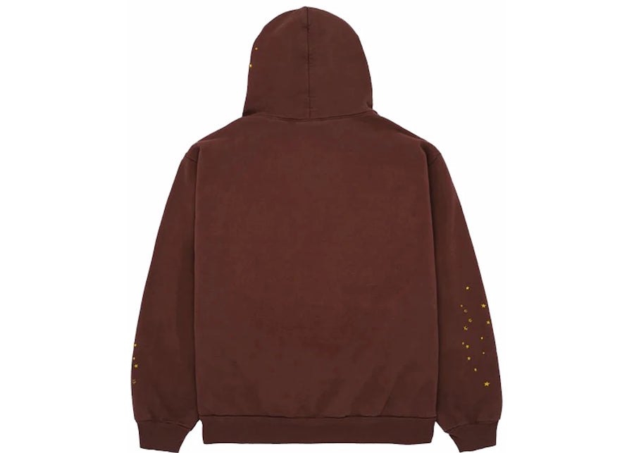 Sweat à capuche Sp5der Web marron