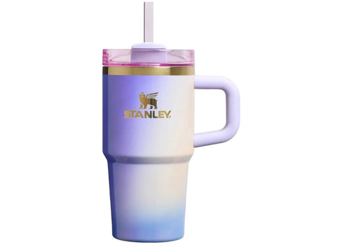 Stanley x Target x Wicked Flowstate Quencher 20oz Tumbler Glinda For Good