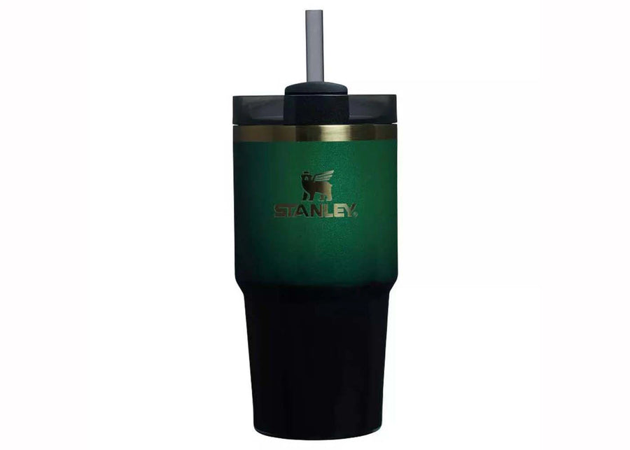 Gobelet isotherme Stanley x Target x Wicked Flowstate Quencher 20 oz Elphaba