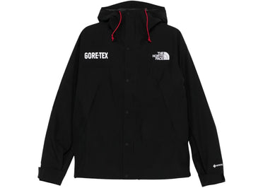 Veste de montagne The North Face GTX Noir/TNF Noir
