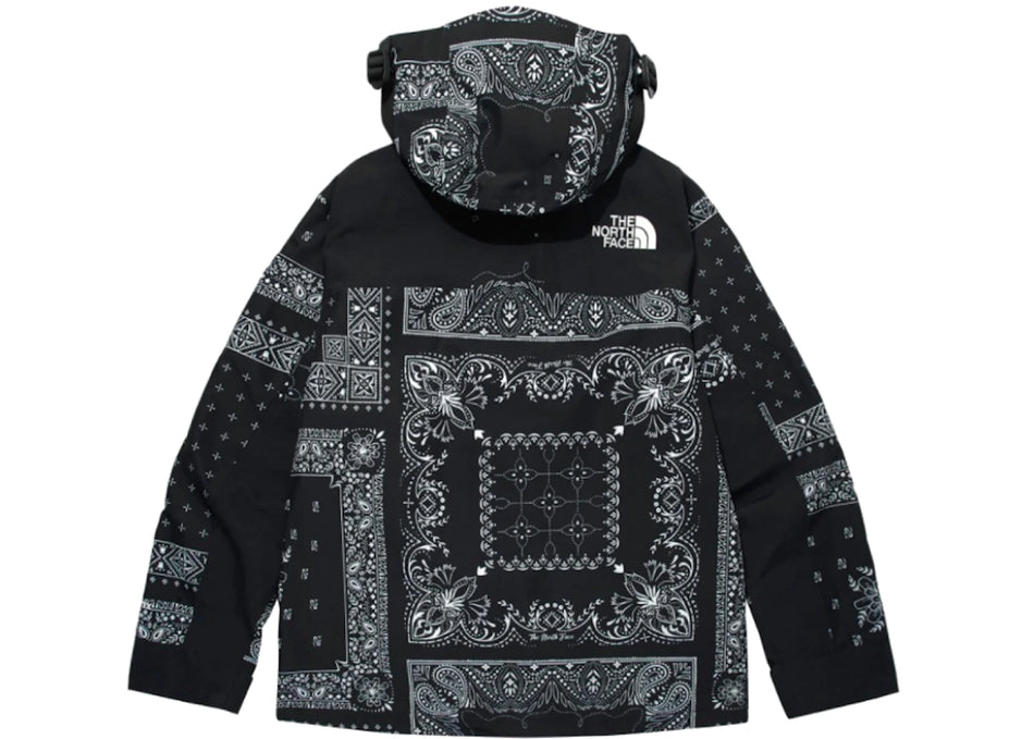 The North Face Novelty GTX Paisley Mountain Jacket Black