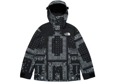 Veste de montagne The North Face Novelty GTX Paisley noire