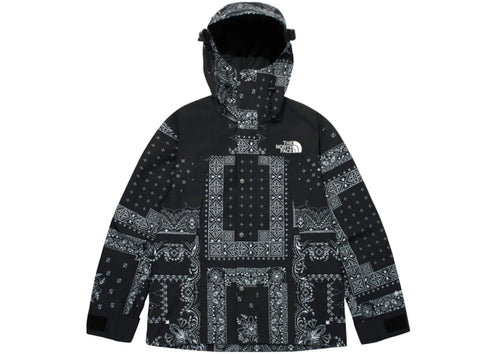 The North Face Novelty GTX Paisley Mountain Jacket Black