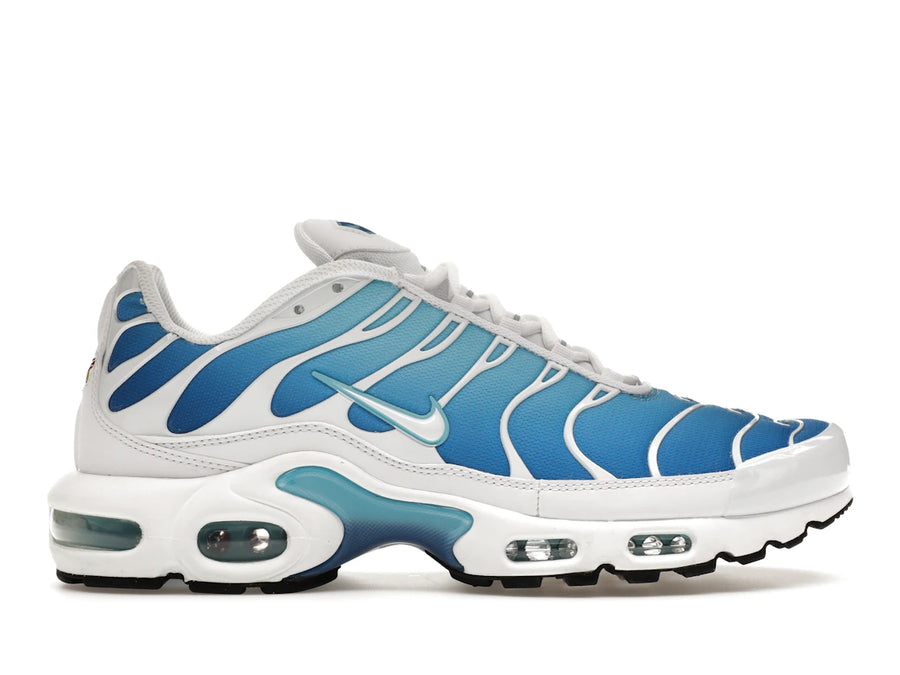 Nike Air Max Plus Bleu ciel
