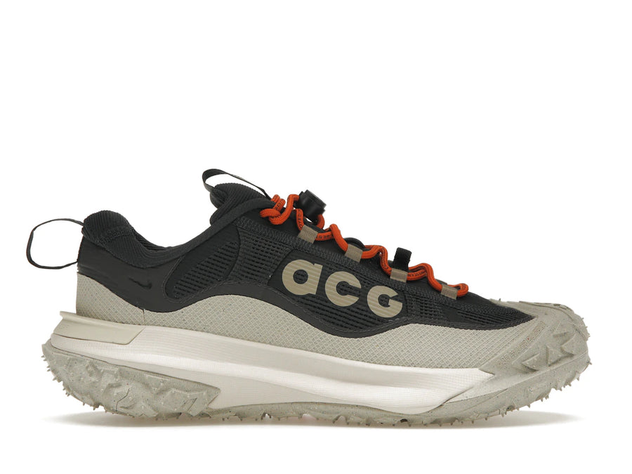 Nike ACG Mountain Fly 2 Low Gore-Tex Gris fumé foncé