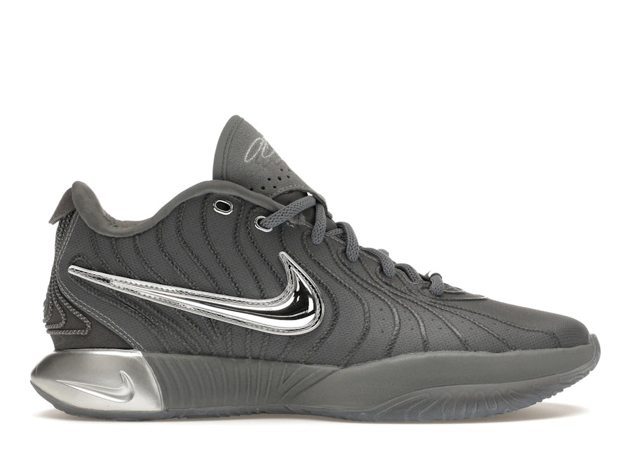 Nike LeBron 21 Gris Froid