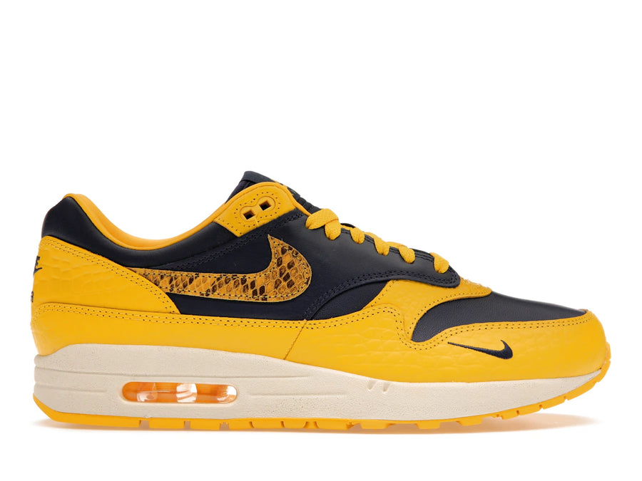 Comparatif Nike Air Max 1 CO.JP Michigan (Femme)