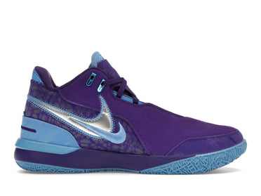 Nike Zoom LeBron NXXT Gen AMPD Summit Lake Hornets