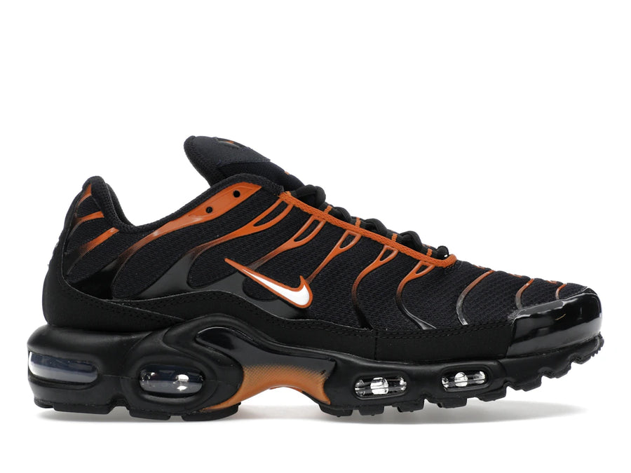 Nike Air Max Plus Dark Obsidian Monarch