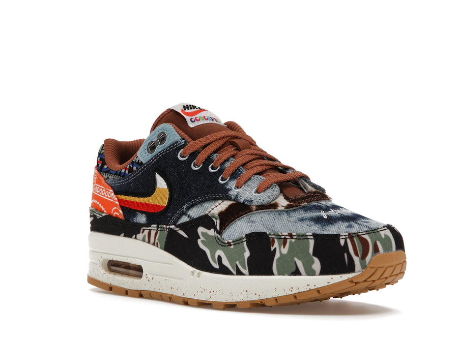 Nike Air Max 1 SP Concepts Heavy