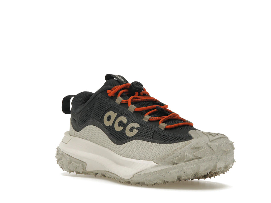 Nike ACG Mountain Fly 2 Low Gore-Tex Gris fumé foncé