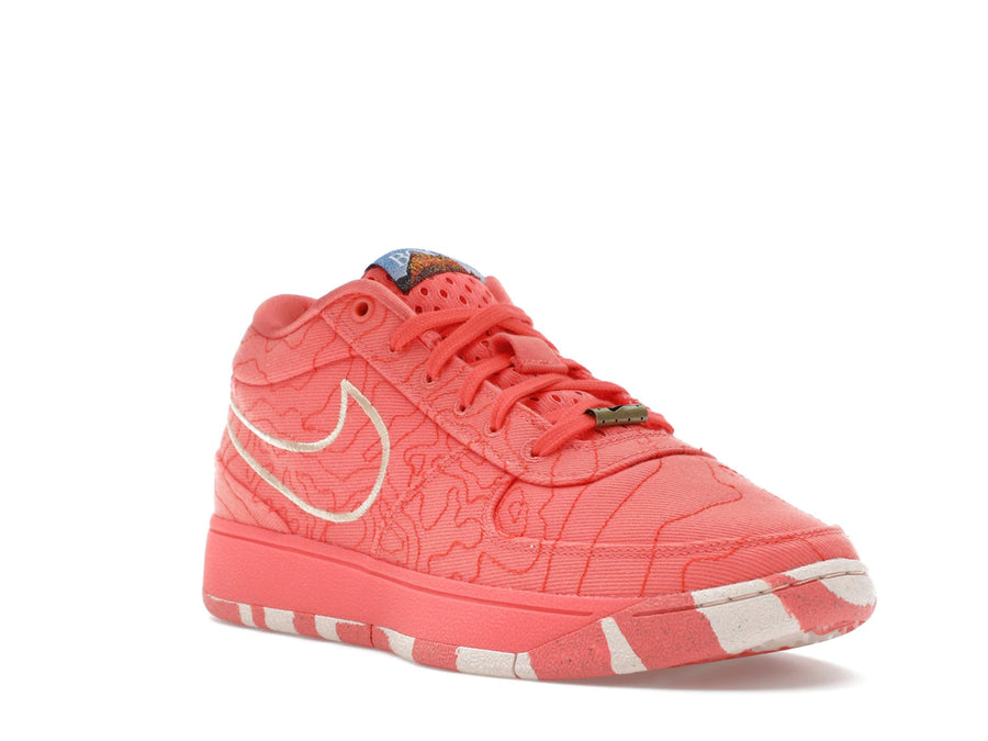 Nike Book 1 Sedona