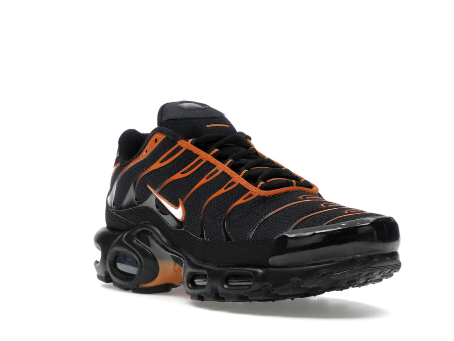 Nike Air Max Plus Dark Obsidian Monarch