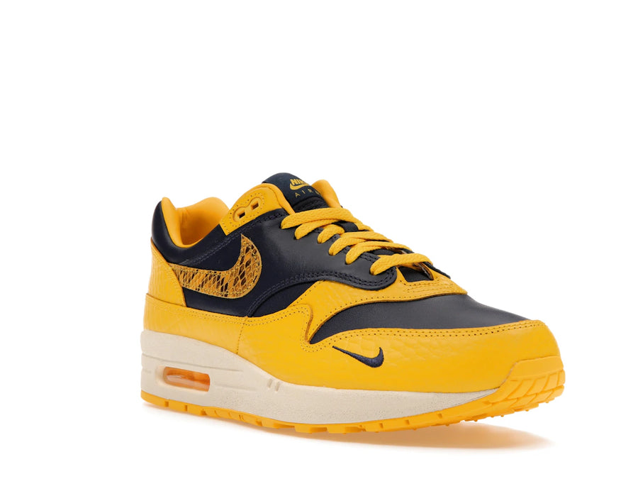 Comparatif Nike Air Max 1 CO.JP Michigan (Femme)