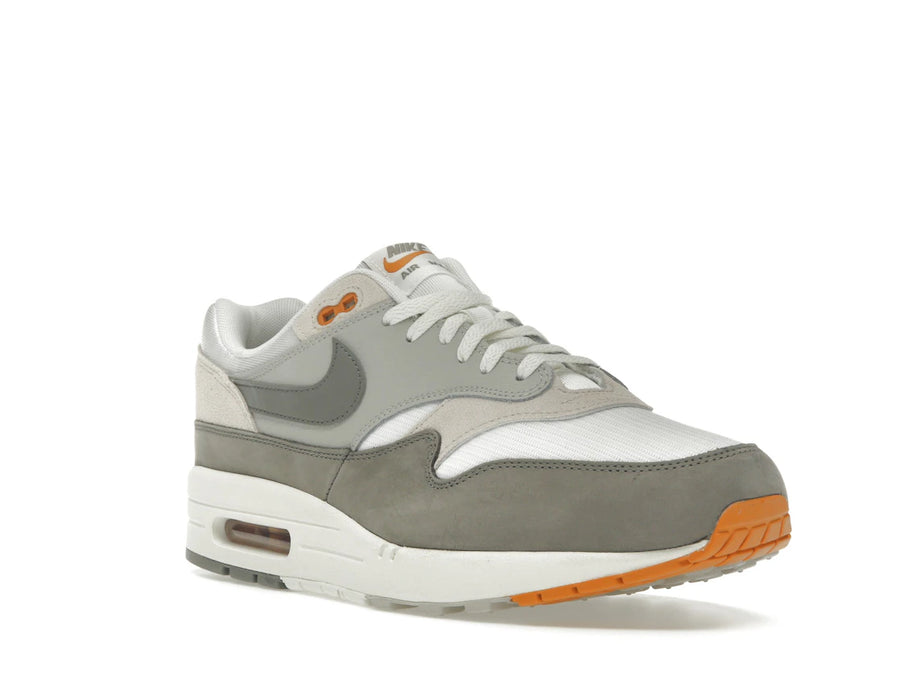 Nike Air Max 1 Light Iron Ore Flat Pewter