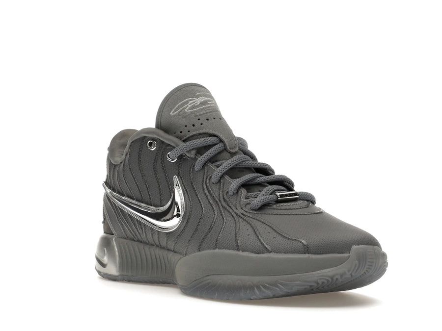 Nike LeBron 21 Gris Froid