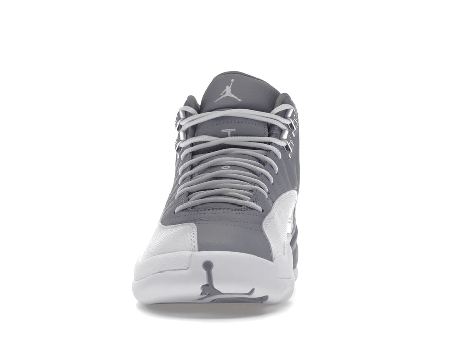 Jordan 12 Retro Stealth