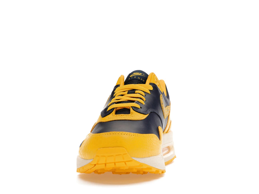 Comparatif Nike Air Max 1 CO.JP Michigan (Femme)