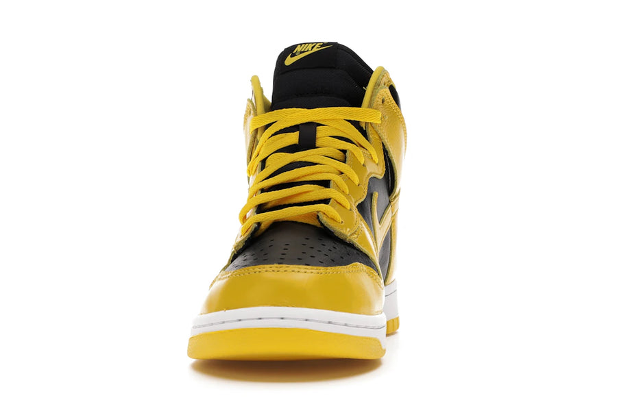 Nike Dunk High Iowa (2020)