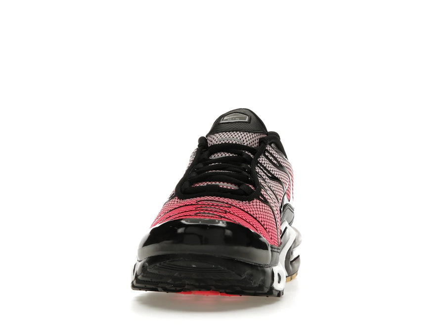 Nike Air Max Plus All Day