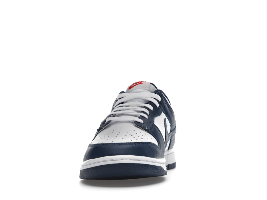 Nike Dunk Low Bleu Valérien