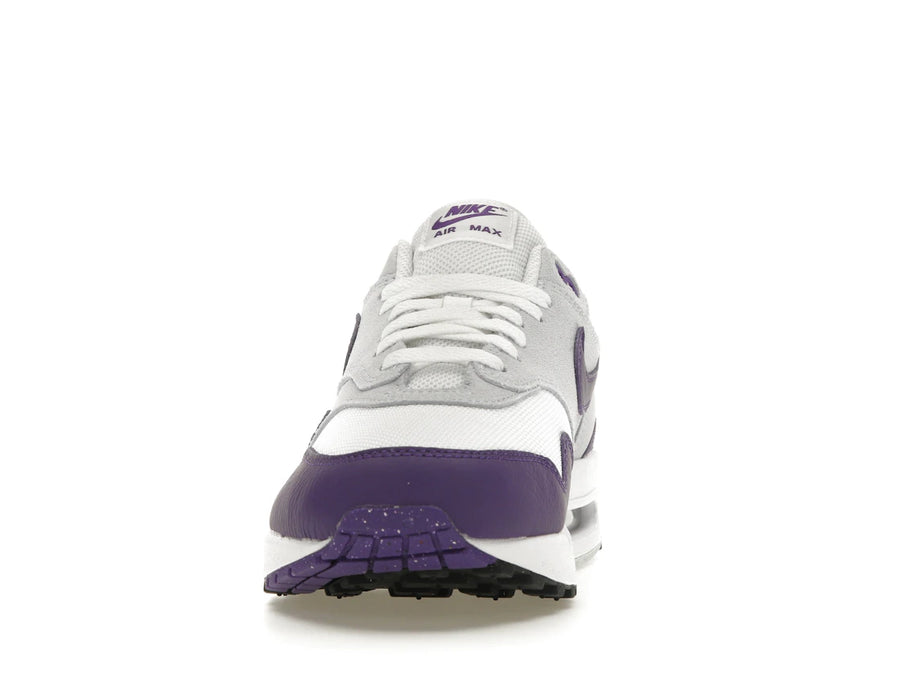 Nike Air Max 1 SC Violet Terrain