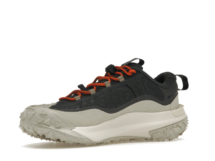 Nike ACG Mountain Fly 2 Low Gore-Tex Gris fumé foncé