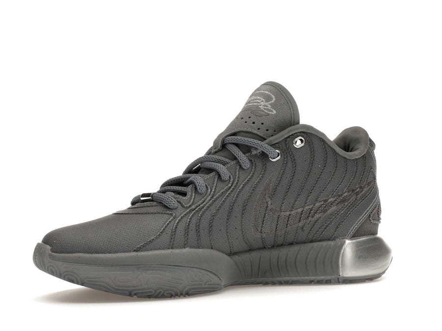 Nike LeBron 21 Gris Froid