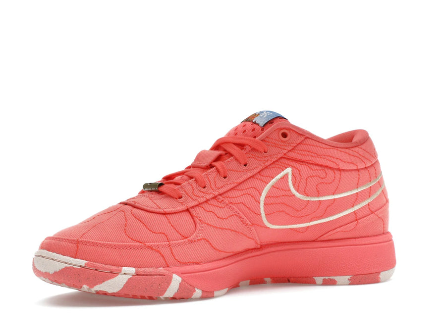 Nike Book 1 Sedona