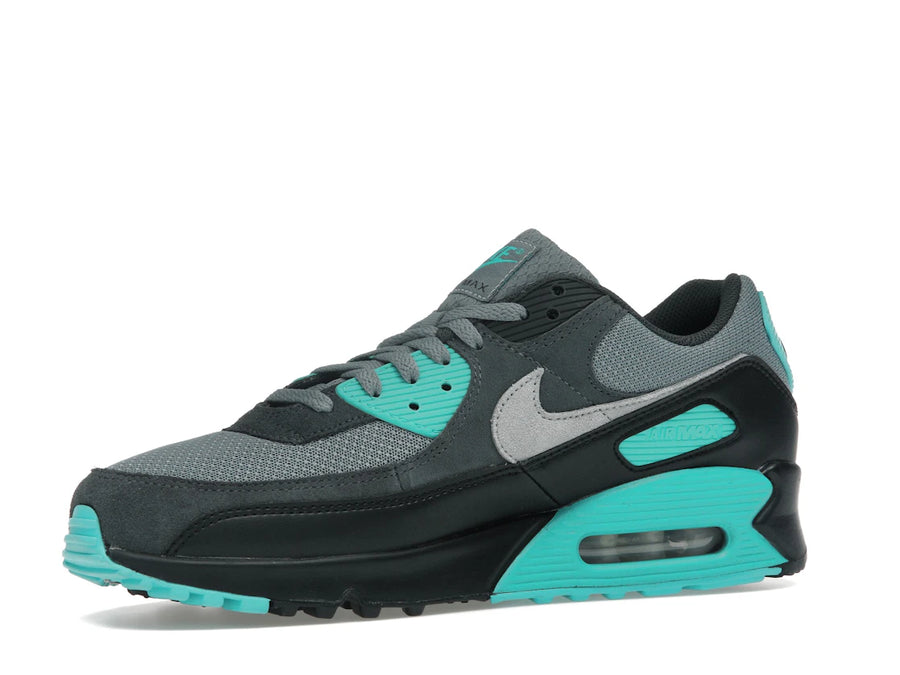 Nike Air Max 90 Gris Froid, Cactus Poussiéreux, Noir, Gris Loup