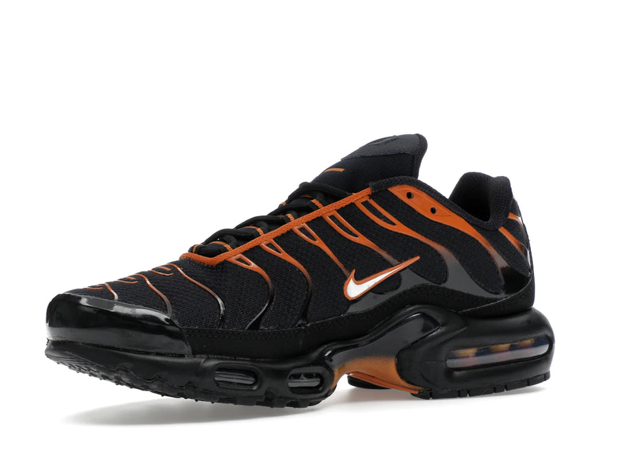 Nike Air Max Plus Dark Obsidian Monarch